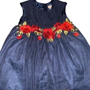 Girls size 24 months /2T dress elegant dress